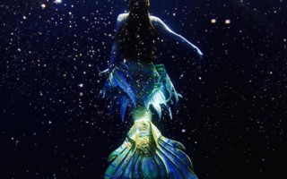 北冰洋疑發現美人魚_最近在北冰洋發現一條魚