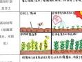 二年級四季農(nóng)事活動(dòng)順序-二年級四季農(nóng)事活動(dòng)順序答案